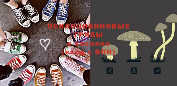таблы Богородск