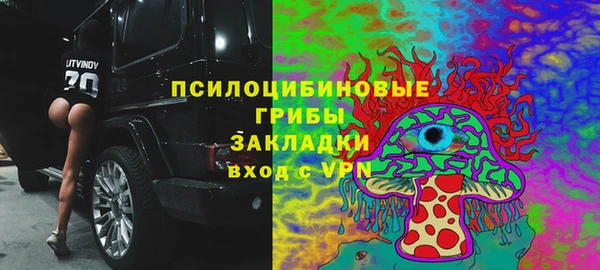 таблы Богородск
