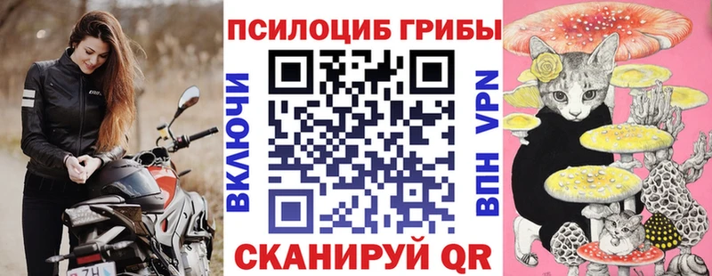 omg как войти  Коммунар  Галлюциногенные грибы Psilocybine cubensis  купить  